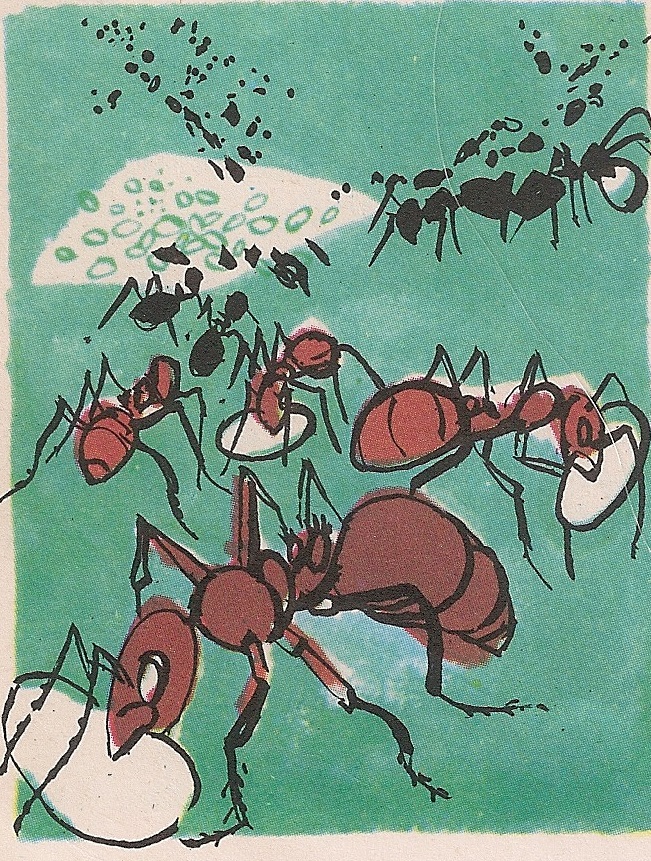 Мрави живе у друштву.