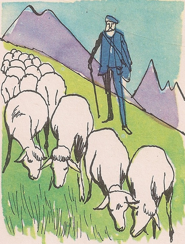 Зашто овце лети иду на планинске пашњаке?