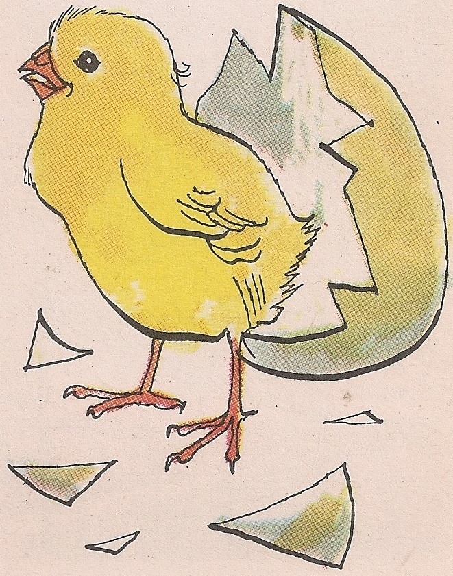 Пиле које је спремно да изиђе из јајета има на врху кљунића мало појачање да би успешно пробило љуску.